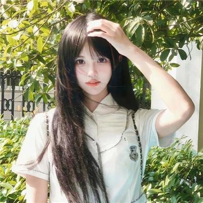 小夜莺