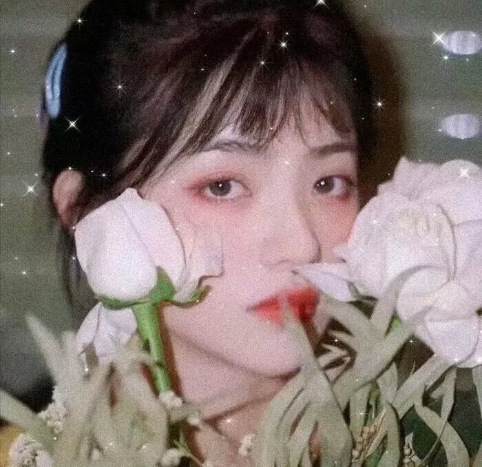 杂交种