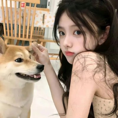 政宗君的复仇
